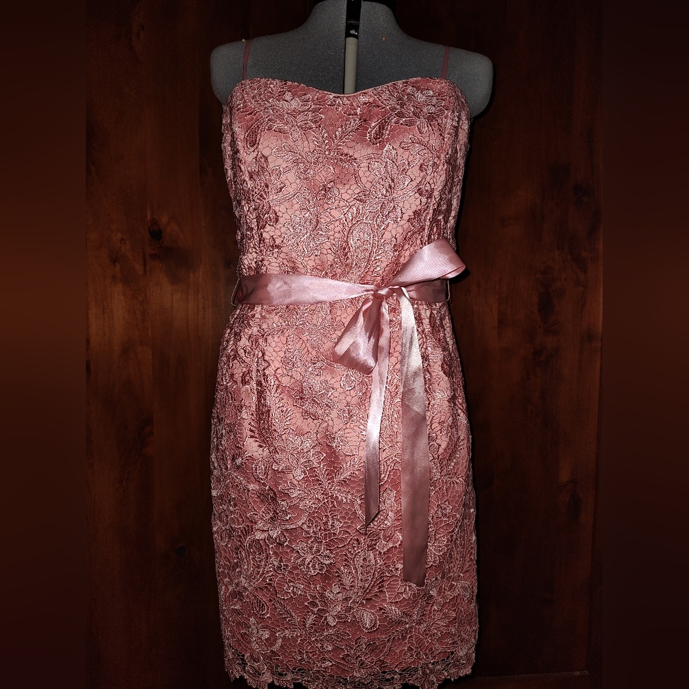 Adrianna Papell Strapless Pink Lace Dress with Satin Sash Size 16